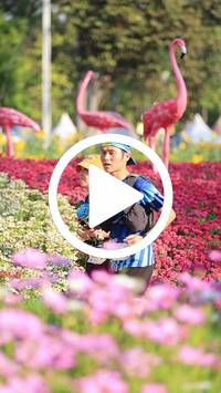 BIB:  <button type="button" onclick="openModal(27583536)" class="btn btn-primary btn-sm float-right" data-toggle="modal" data-target=".modal-high-quality">
                <i class="fa fa-download"></i> Download
                </button>